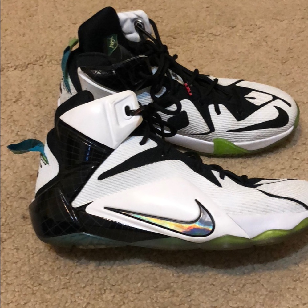 Lebron 12 NIKE basketball shoes